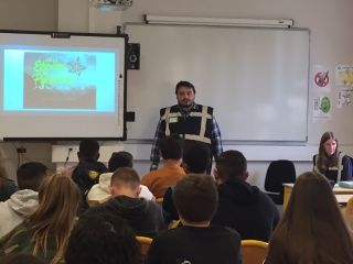 LES ETOILES DES PYRENEES